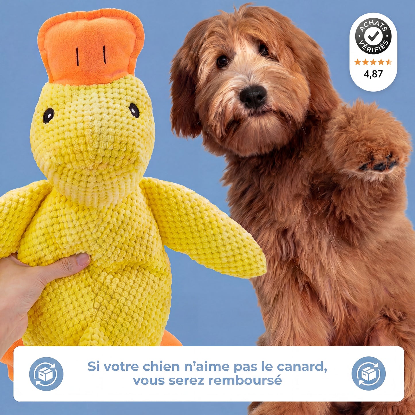Le Canard Anti-Stress