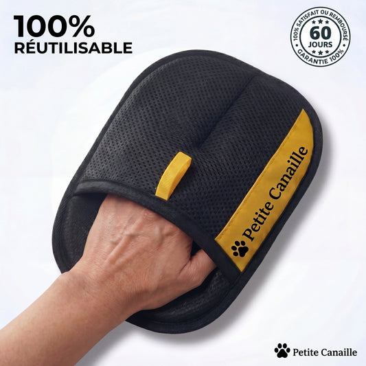 Gant Anti-Poils Réutilisable