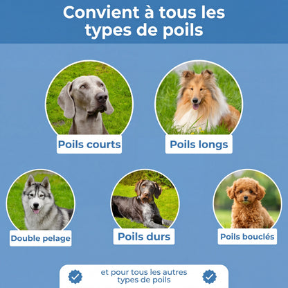 Brosse Chien Sublim’Poils