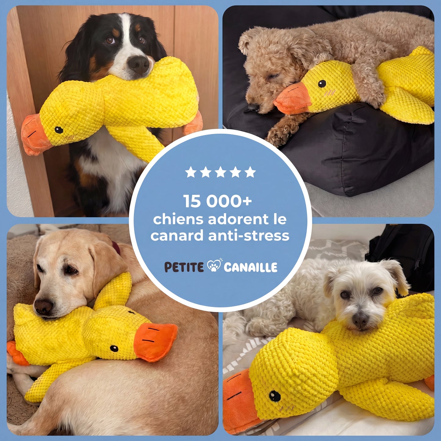 Le Canard Anti-Stress