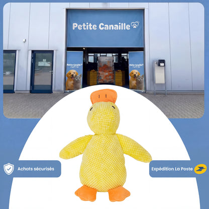 Le Canard Anti-Stress