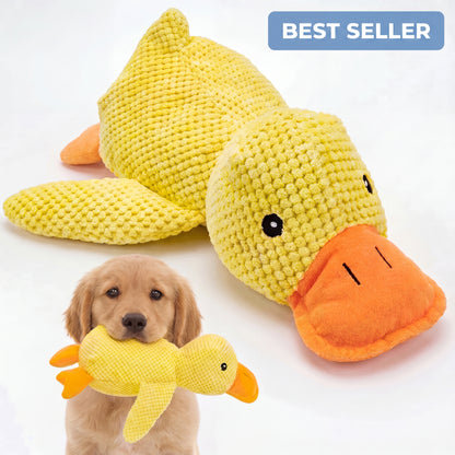 Le Canard Anti-Stress