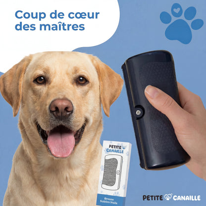 Brosse Chien Sublim’Poils