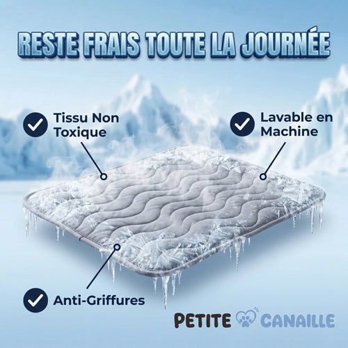 Tapis rafraîchissant pour chien