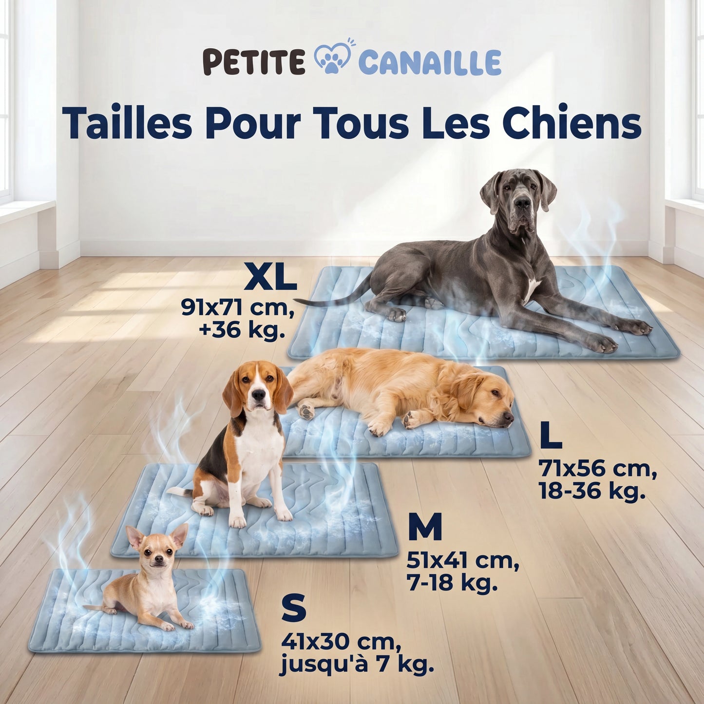 Tapis rafraîchissant pour chien