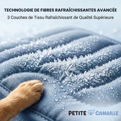 Tapis rafraîchissant pour chien