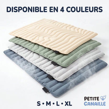 Tapis rafraîchissant pour chien