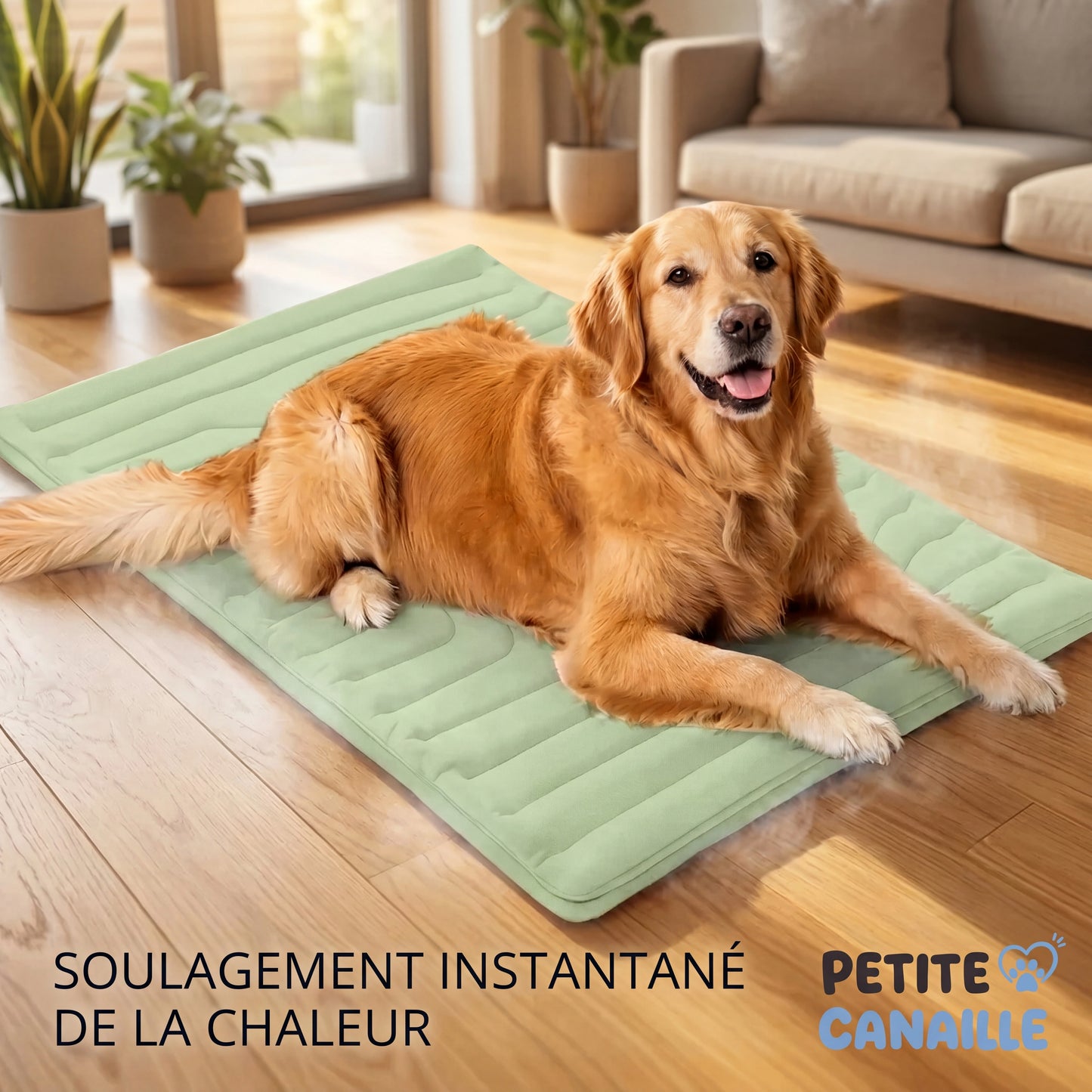 Tapis rafraîchissant pour chien